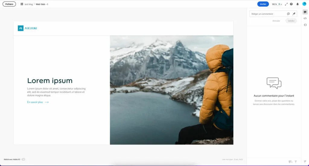 Adobe XD, leaving a comment for developers