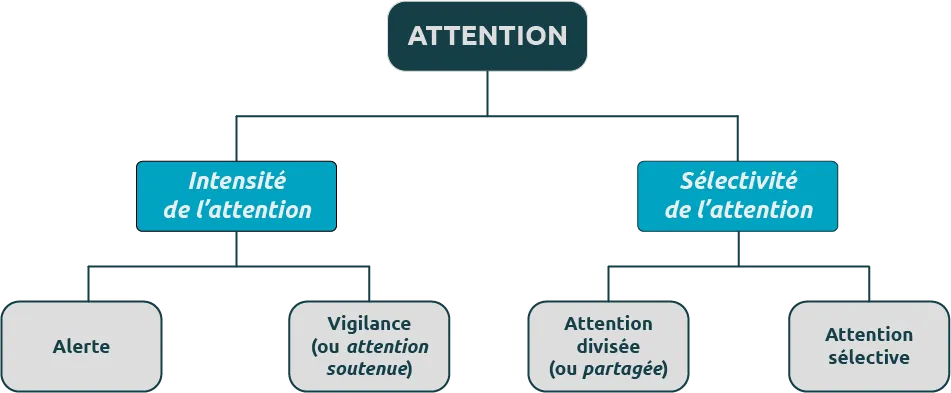 Attention diagram