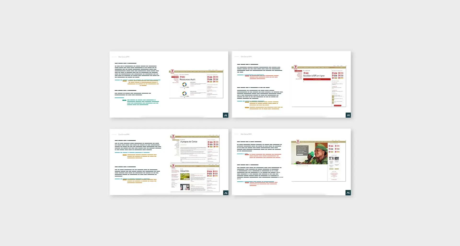 Audit of the SPI Online platform