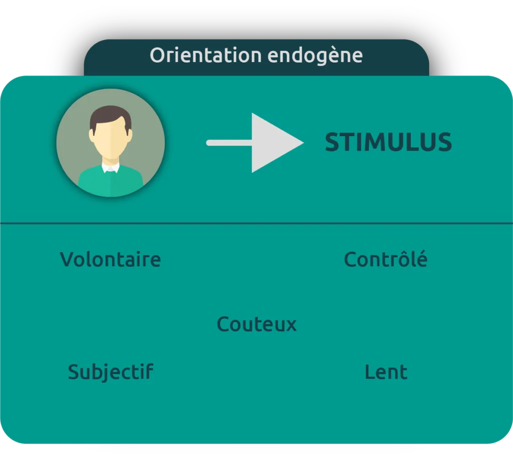 Endogenous vs exogenous orientation diagram