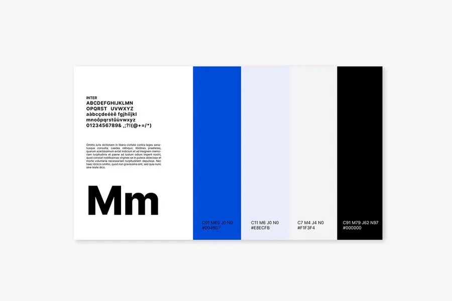 Example of visual style guide / web style guide 1 of 4