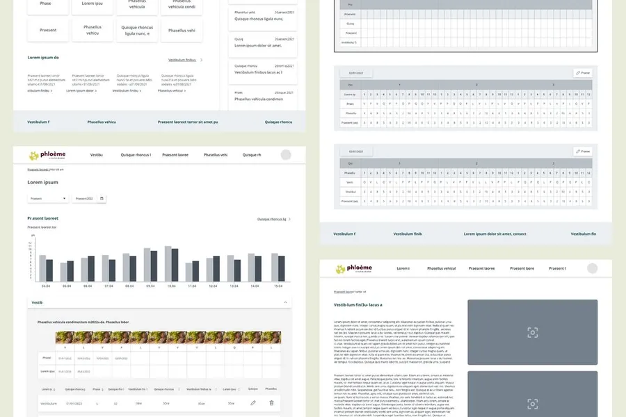 Example of wireframe 5 of 8