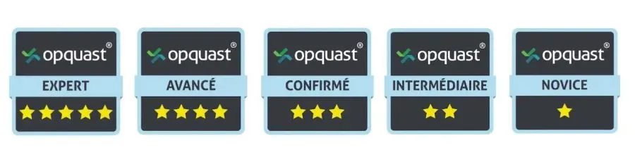 Example of opquast 1 of 1