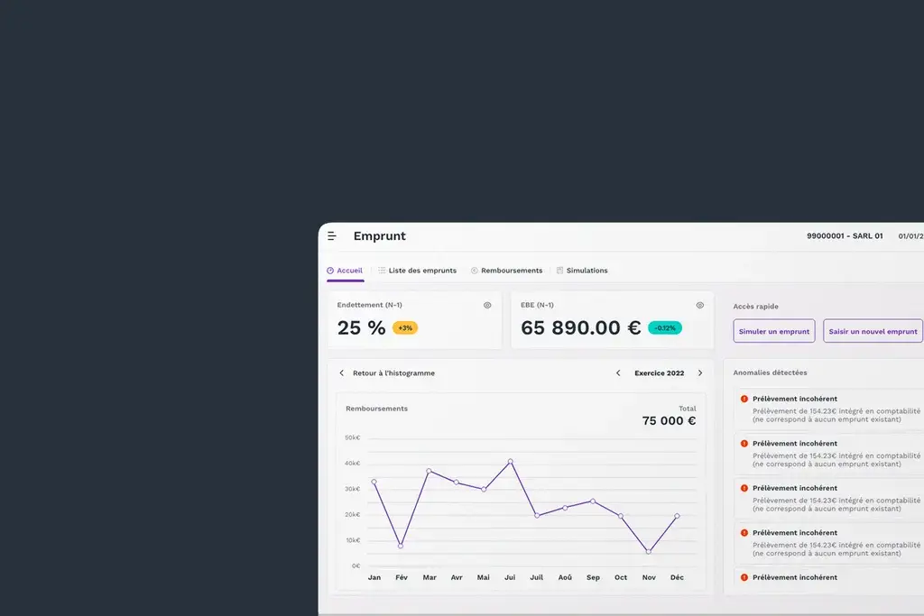 Focus on the loan-module dashboard screen with the visual identity for the redesign of the business tool for accountants