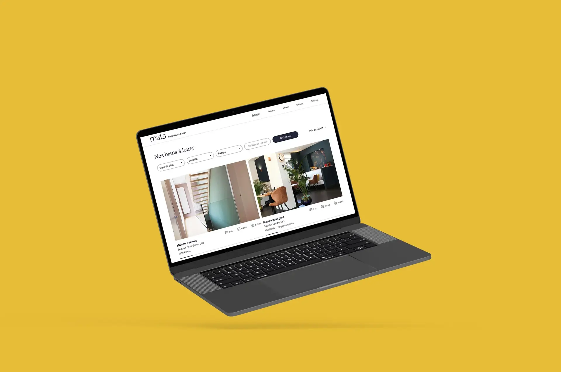 Graphic mockup of the properties-to-rent page for the website