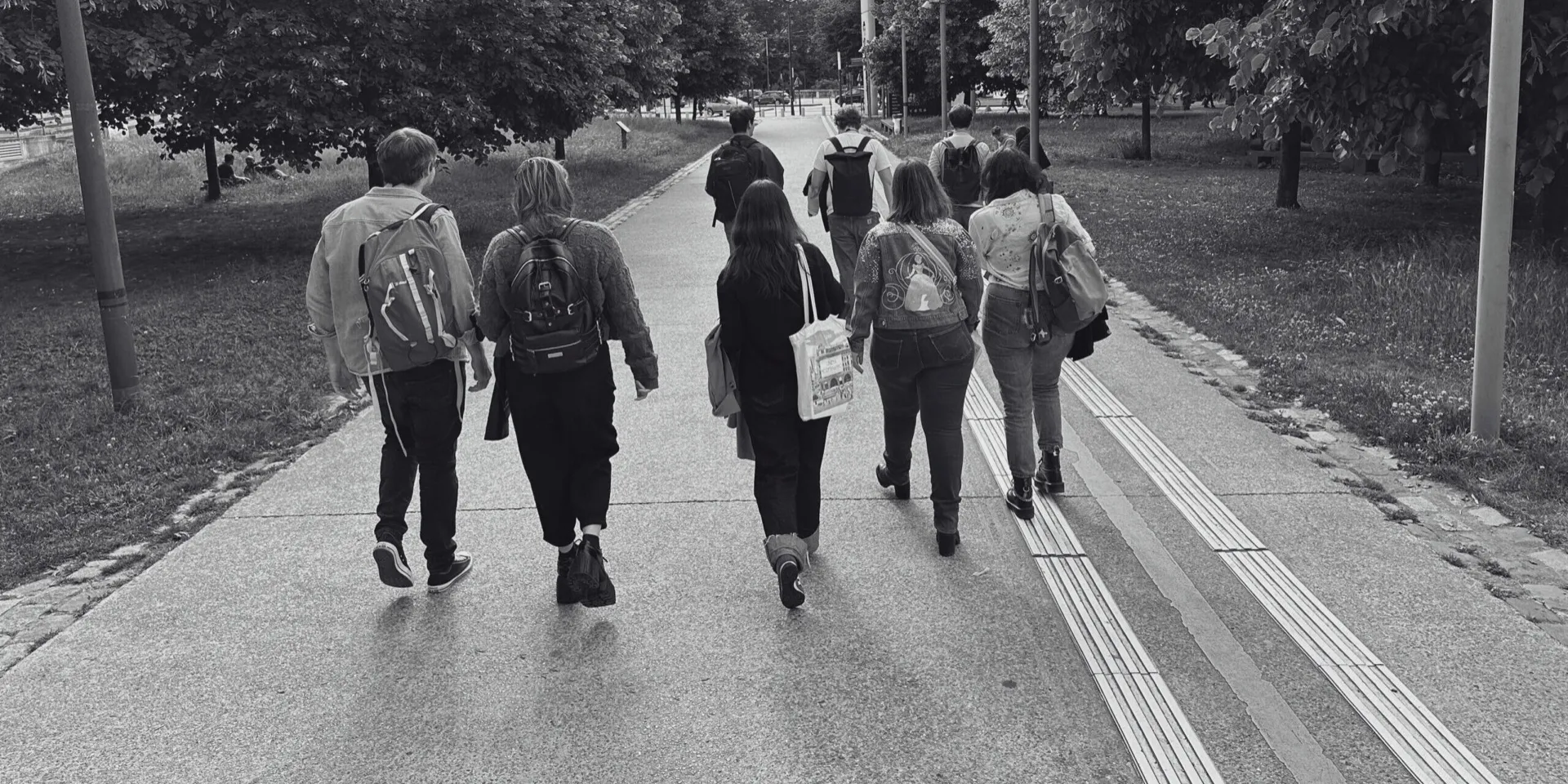 Group of people walking along a tree-lined path, viewed from behind