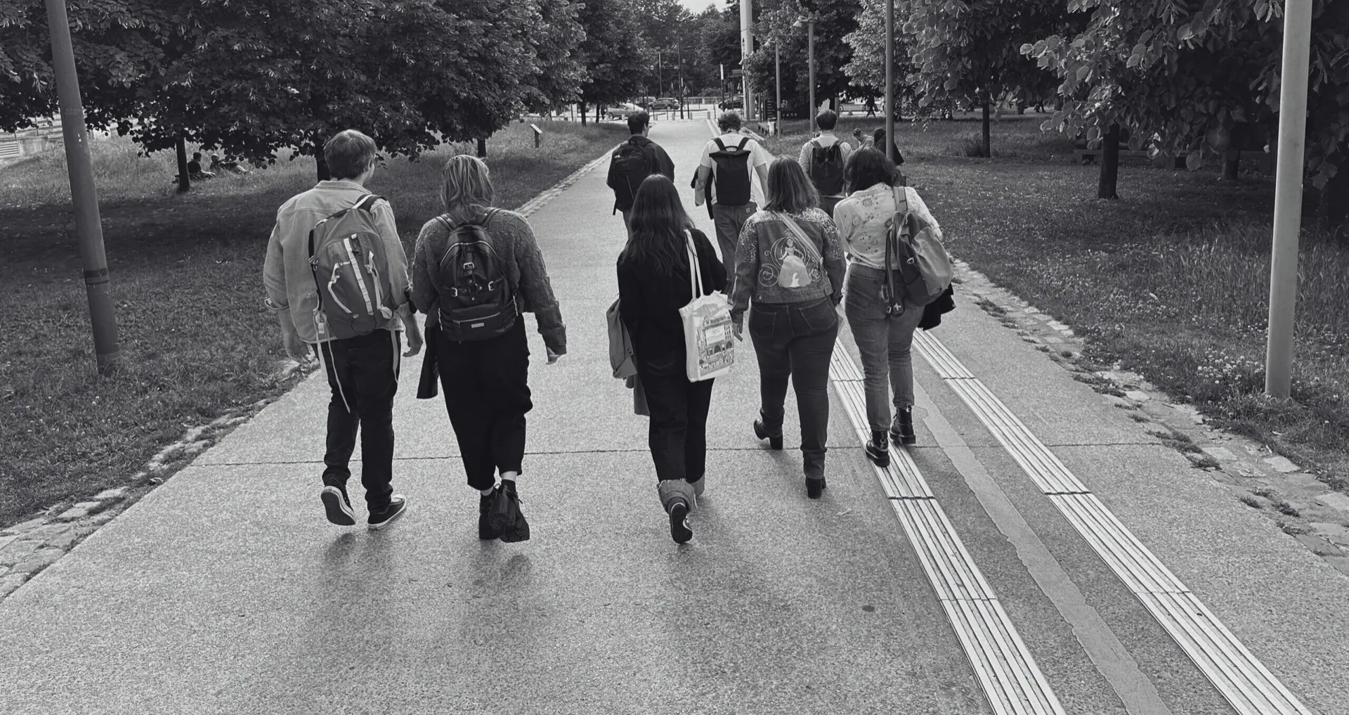 Groupe de personnes marchant sur un chemin bordé d'arbres, vu de dos