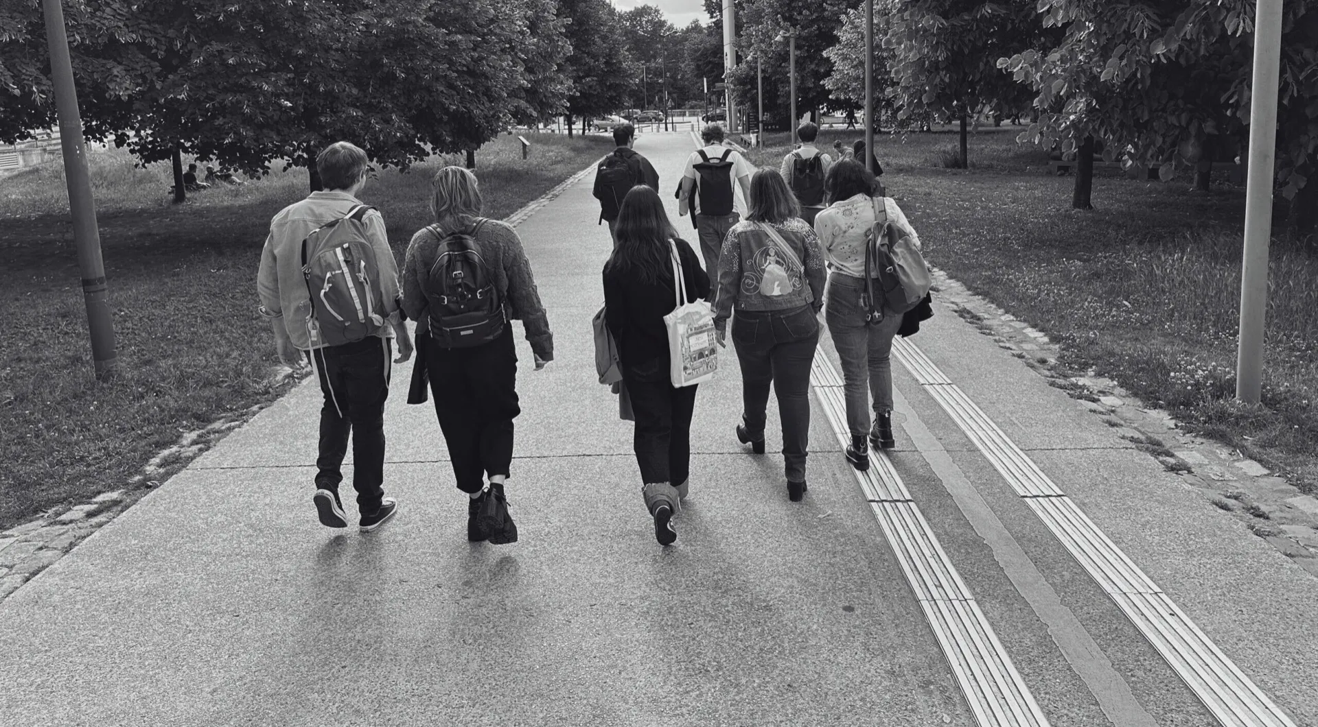 Groupe de personnes marchant sur un chemin bordé d'arbres, vu de dos