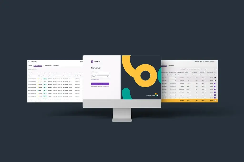High-fidelity mockups with the visual identity of the accounting business tool