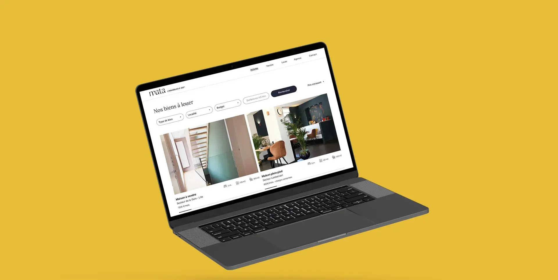 Graphic mockup of the properties-to-rent page for the website