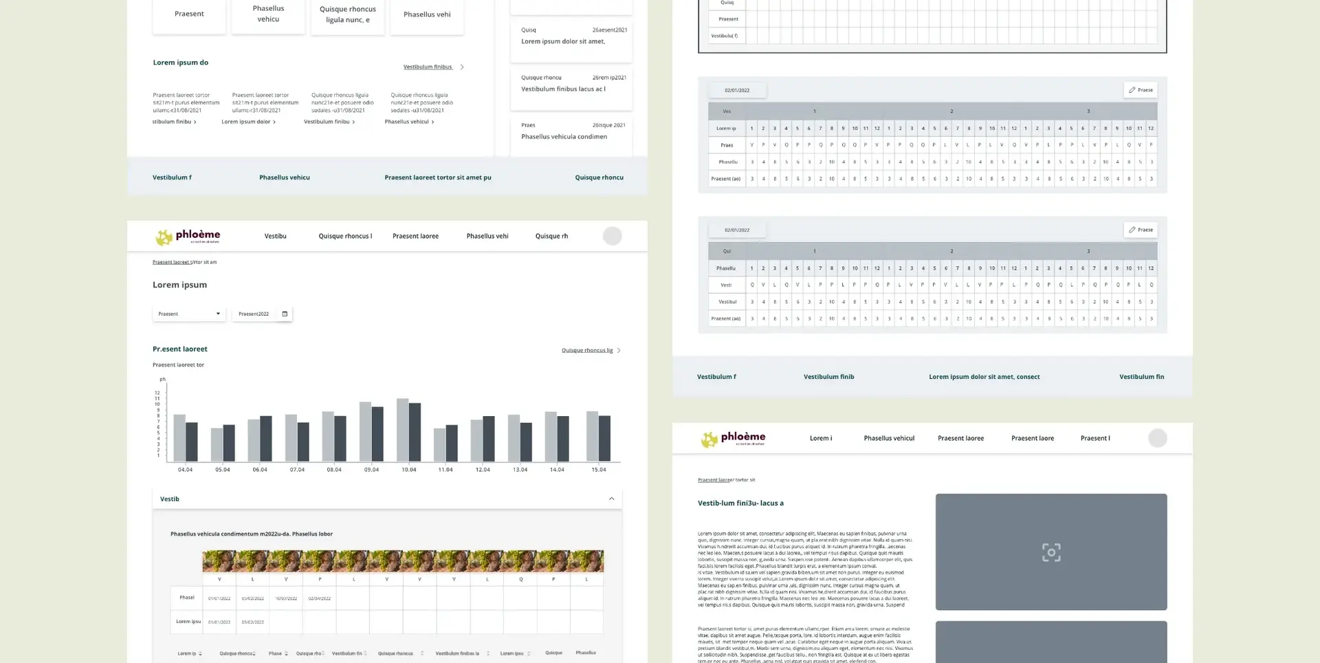Low-fidelity mock-ups of dashboards, monitoring charts and content pages