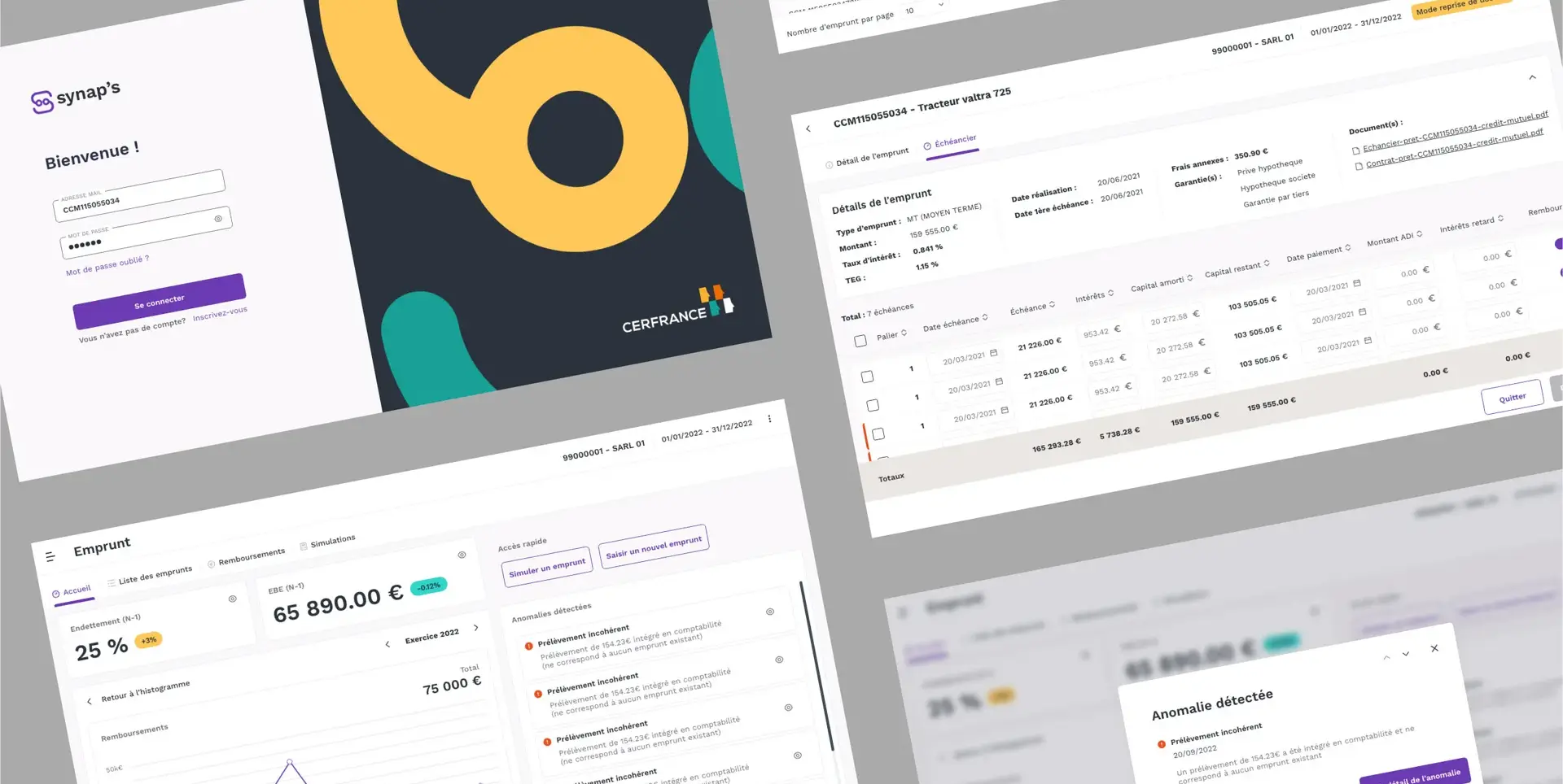 UI Design mockups of the accounting business tool screens