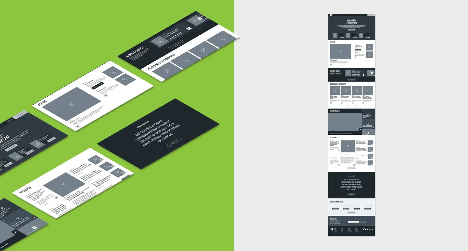 Mockup showing the wireframes of the home page of the WWF project