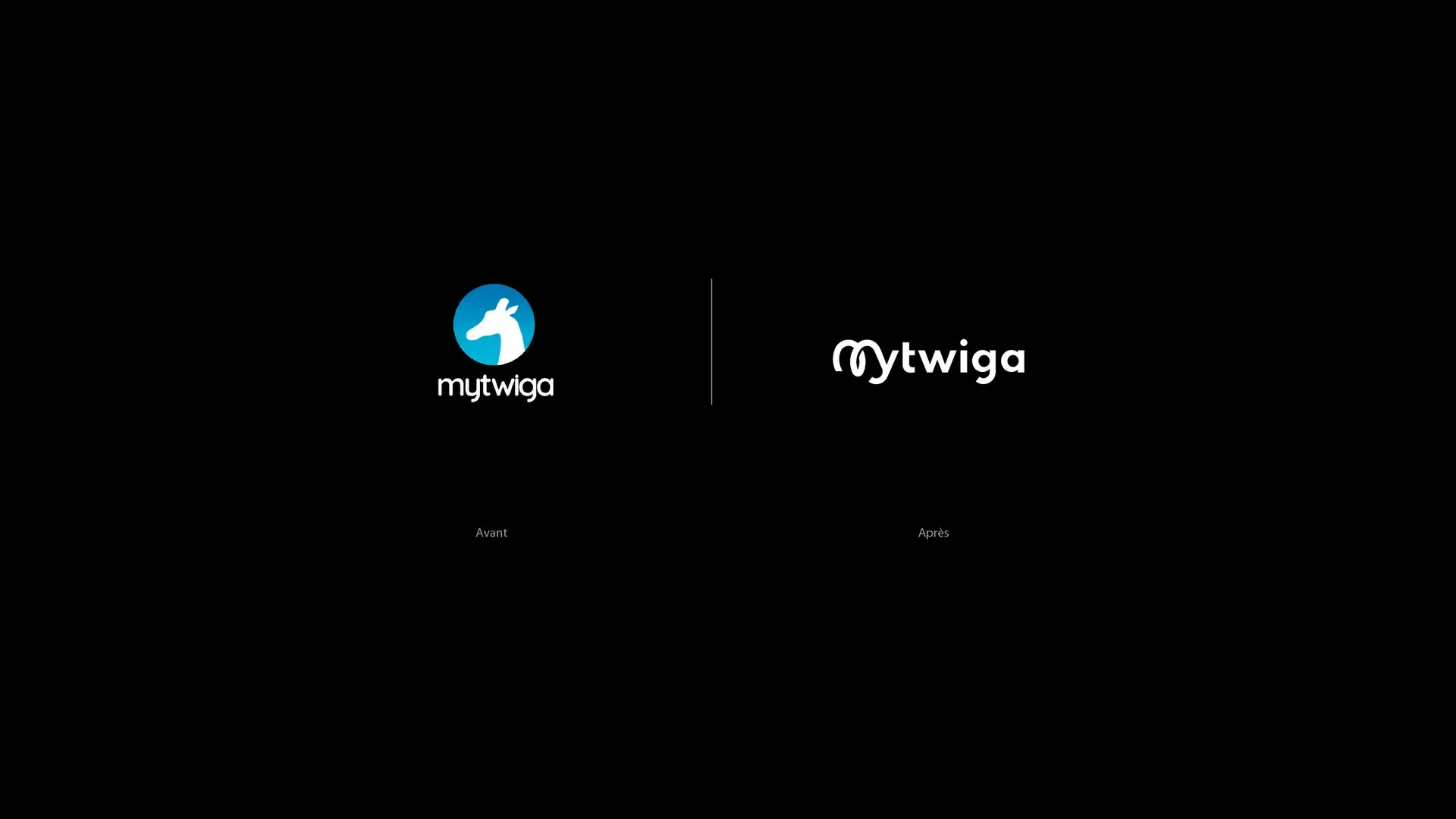 Mytwiga