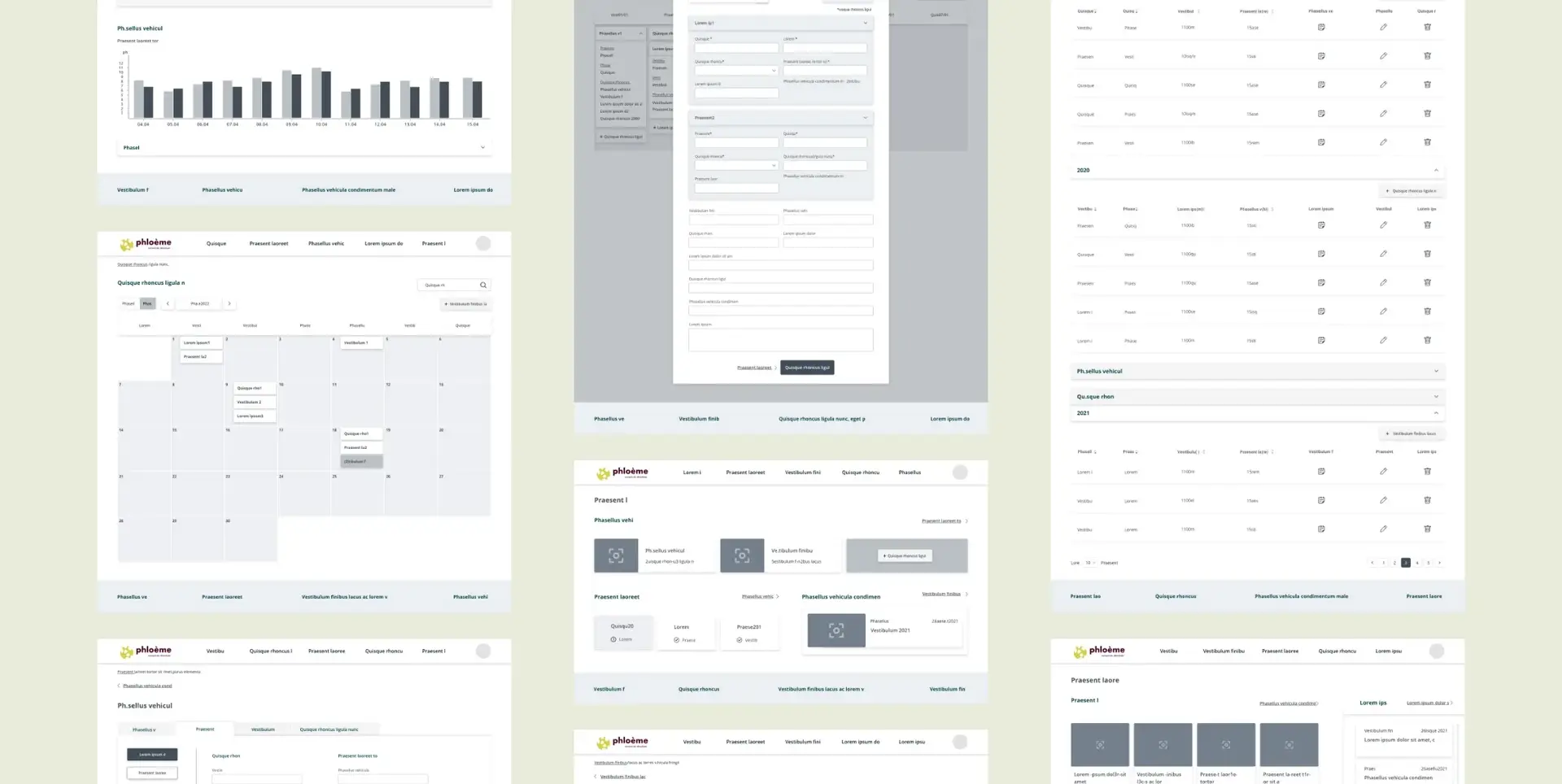 Board of low-fidelity mock-ups with dashboards, forms and data tables