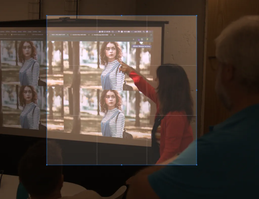 Preview of the interface to select a zone in the image and compare the compression results.