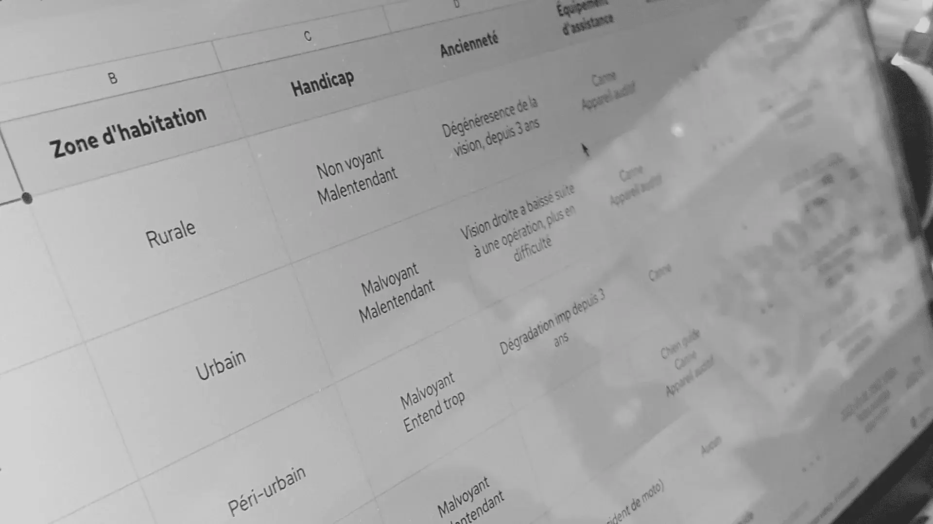 Screenshot of some of the data from the research repository set up as part of the study on travellers with disabilities