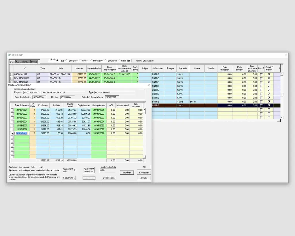Screenshot of the current accounting business tool