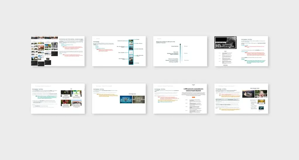Slides from an expert audit report