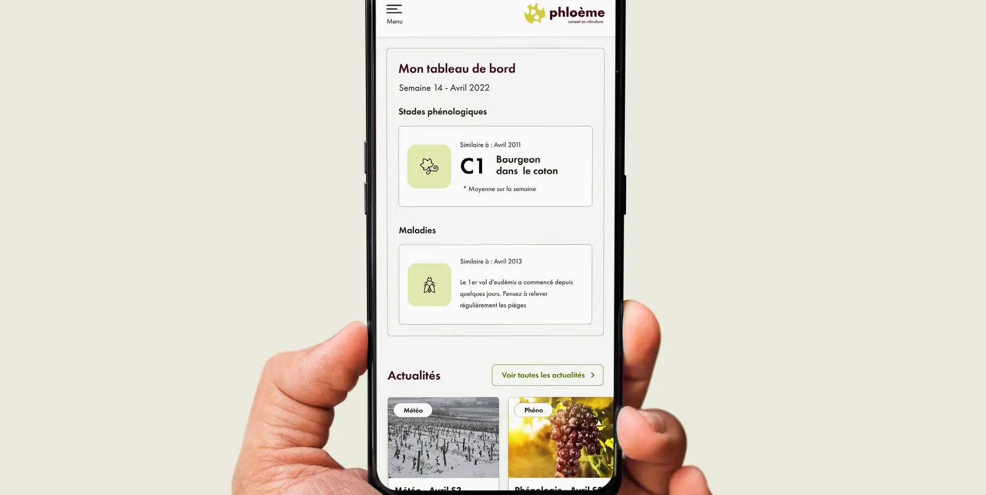 Phloeme mobile dashboard displaying crop-health monitoring and news