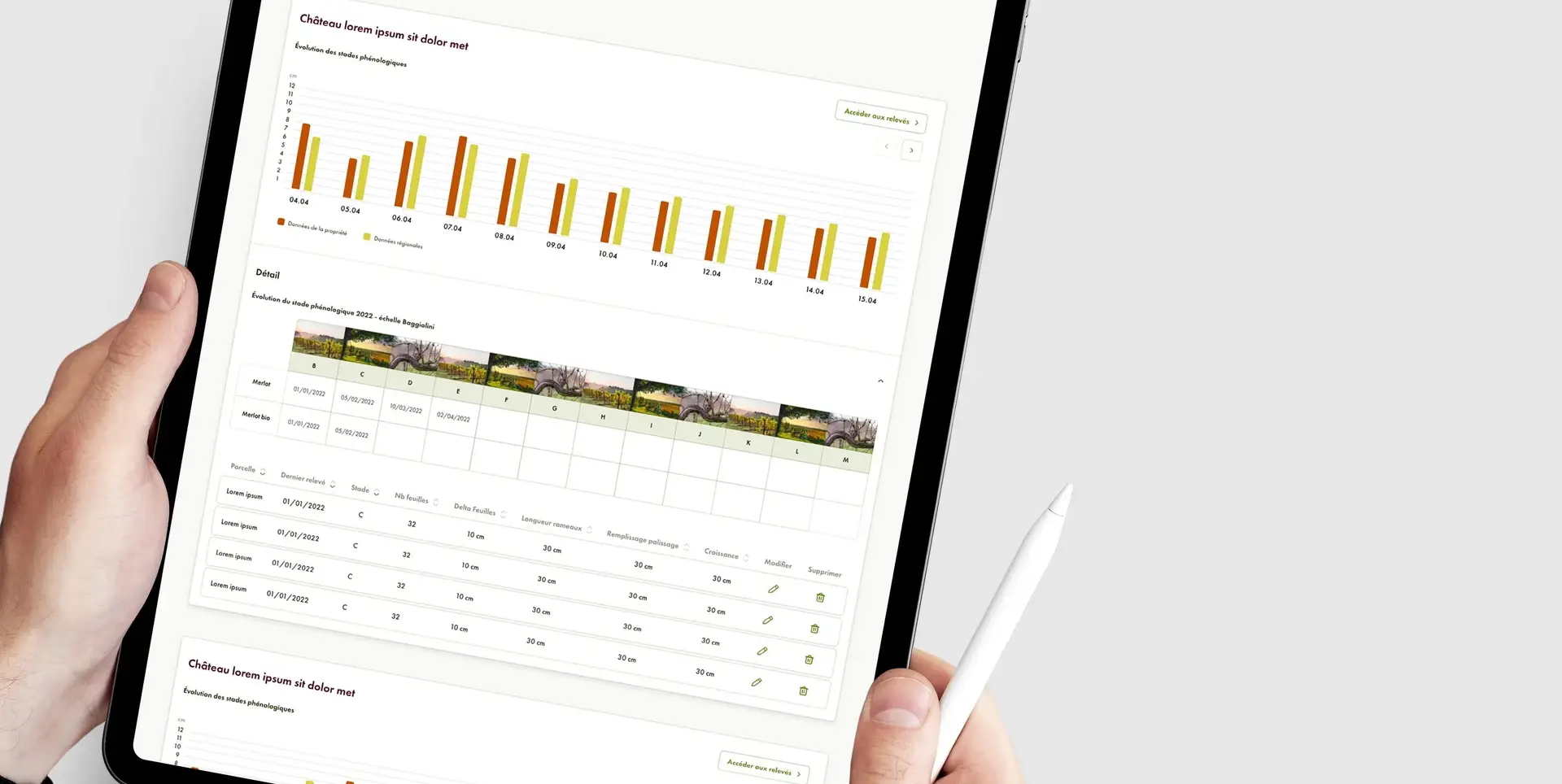 Phloème phenology tracking dashboard displayed on a tablet held in both hands