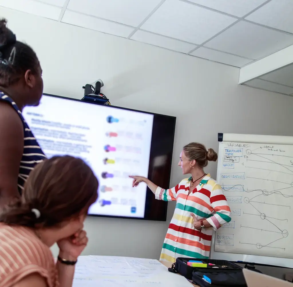 The project team's work around behavioural variables