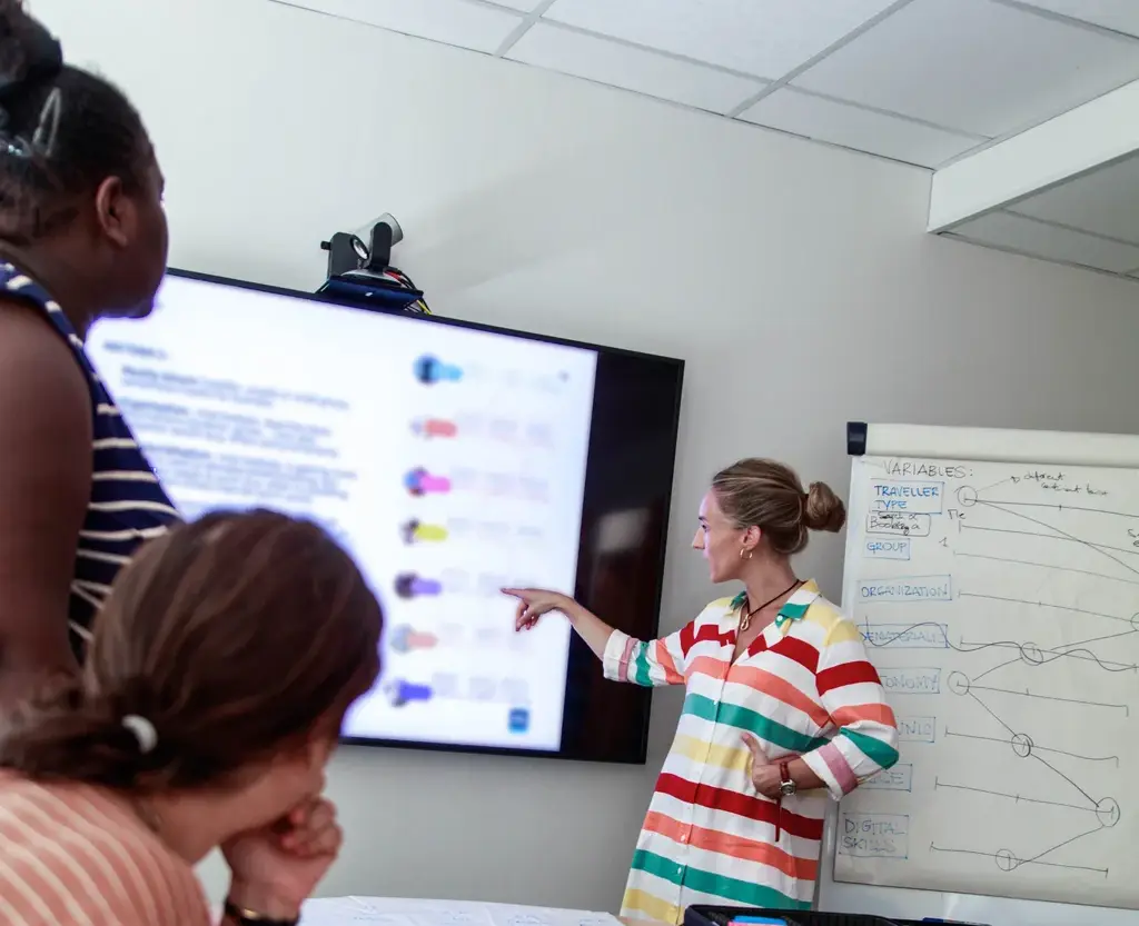 The project team's work around behavioural variables