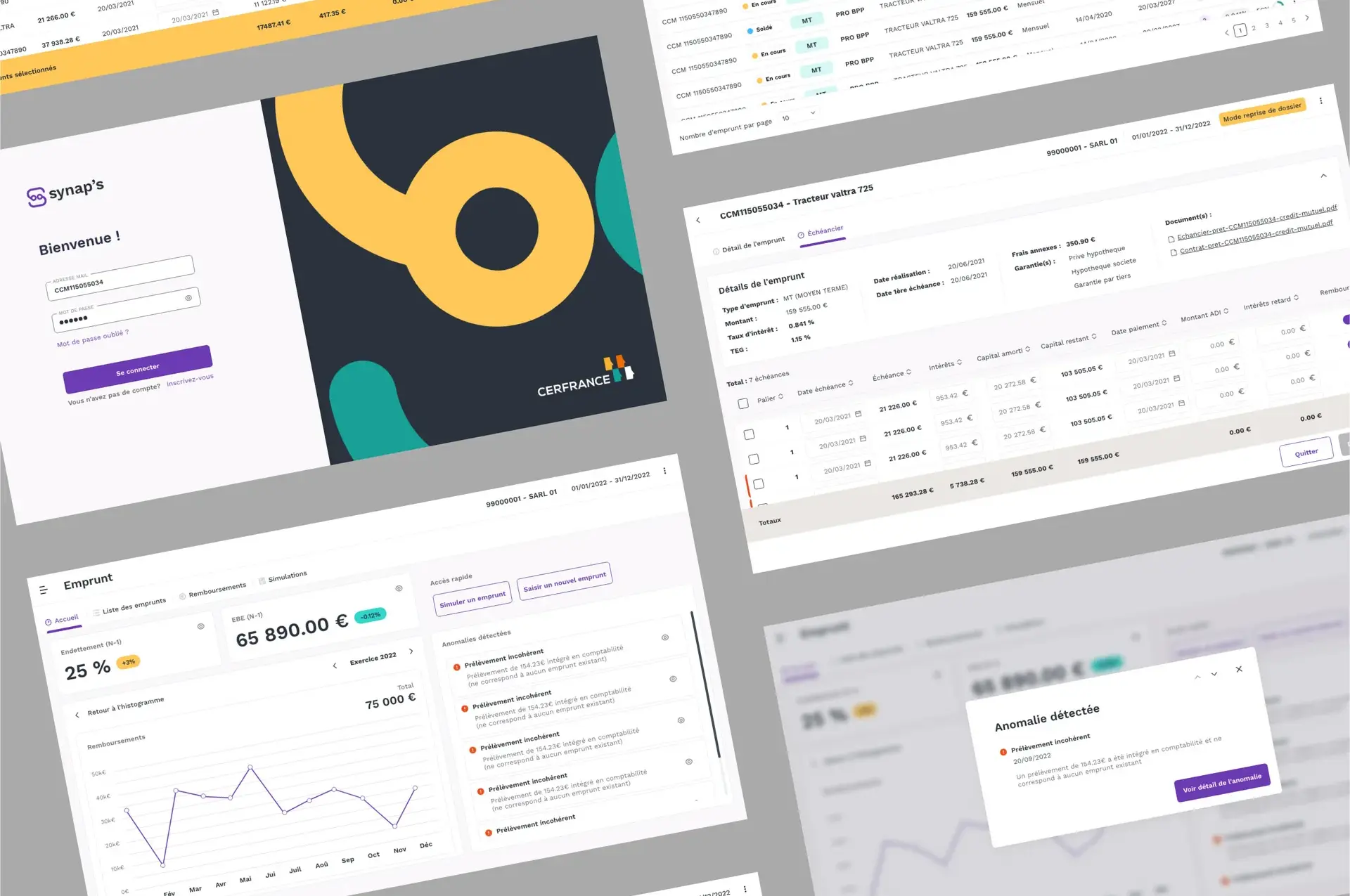 UI Design mockups of the accounting business tool screens