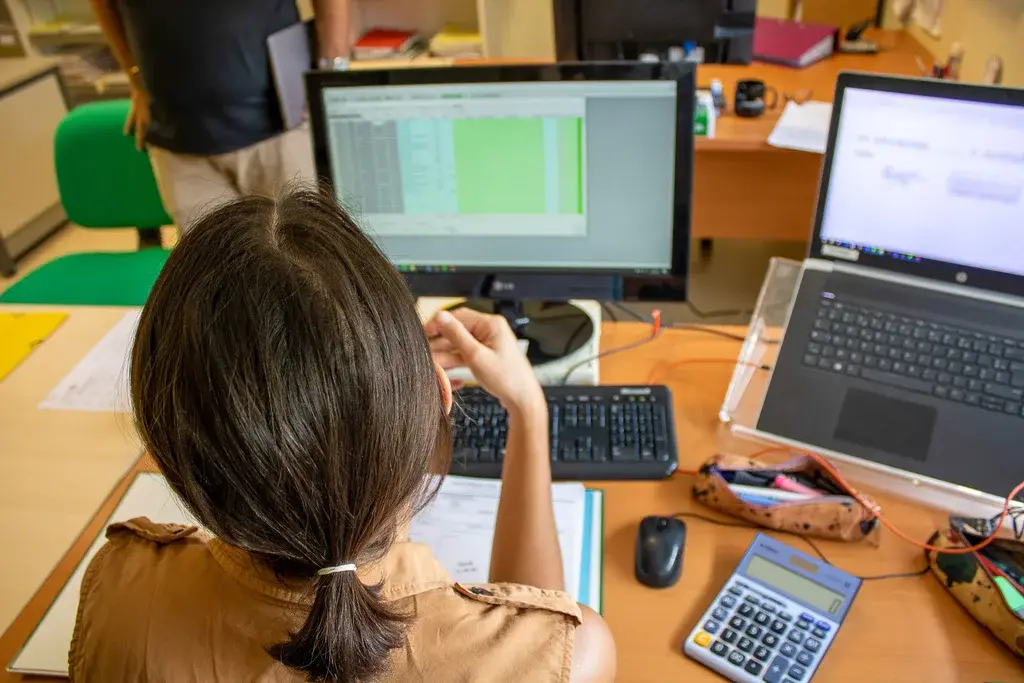 User interview with a chartered accountant for the redesign of an accounting business tool