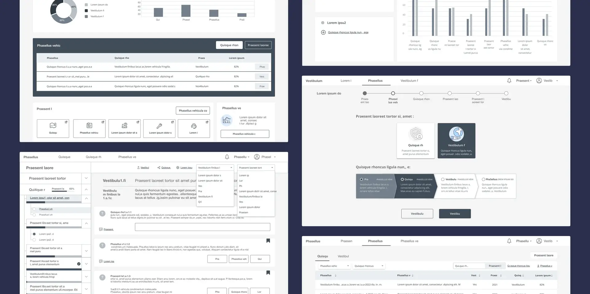 UX Design wireframe mockups of the online audit platform