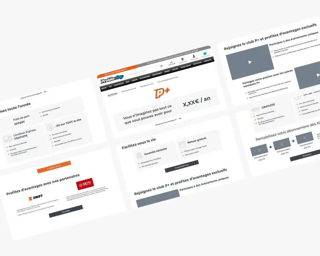 Wireframe of the page presenting the premium offer (not contractually binding)