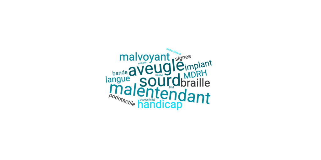 Word cloud of terms used by participants about their disability