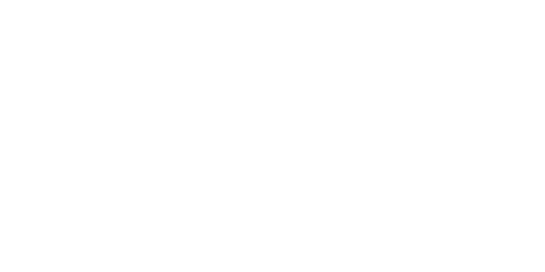 logo-H2020-white