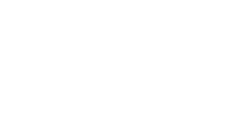 logo-French tech-white