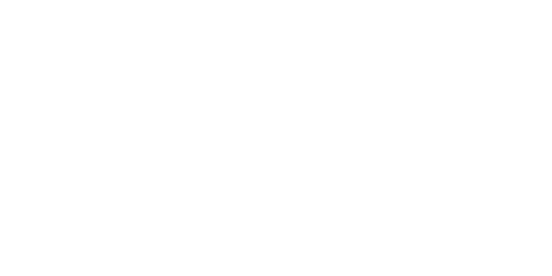 Logo - Region Nouvelle Aquitaine - blanc