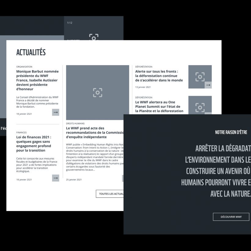 wireframes d'une interface desktop