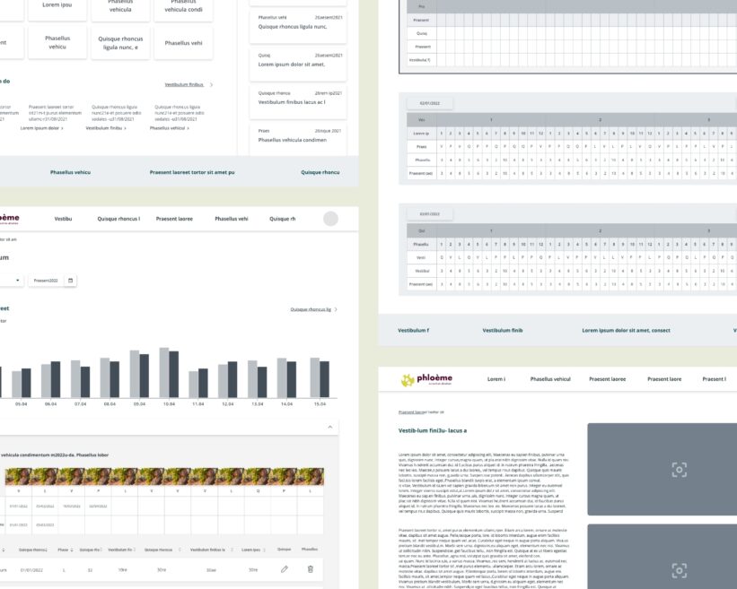 Wireframes à plat solution et graphique vin