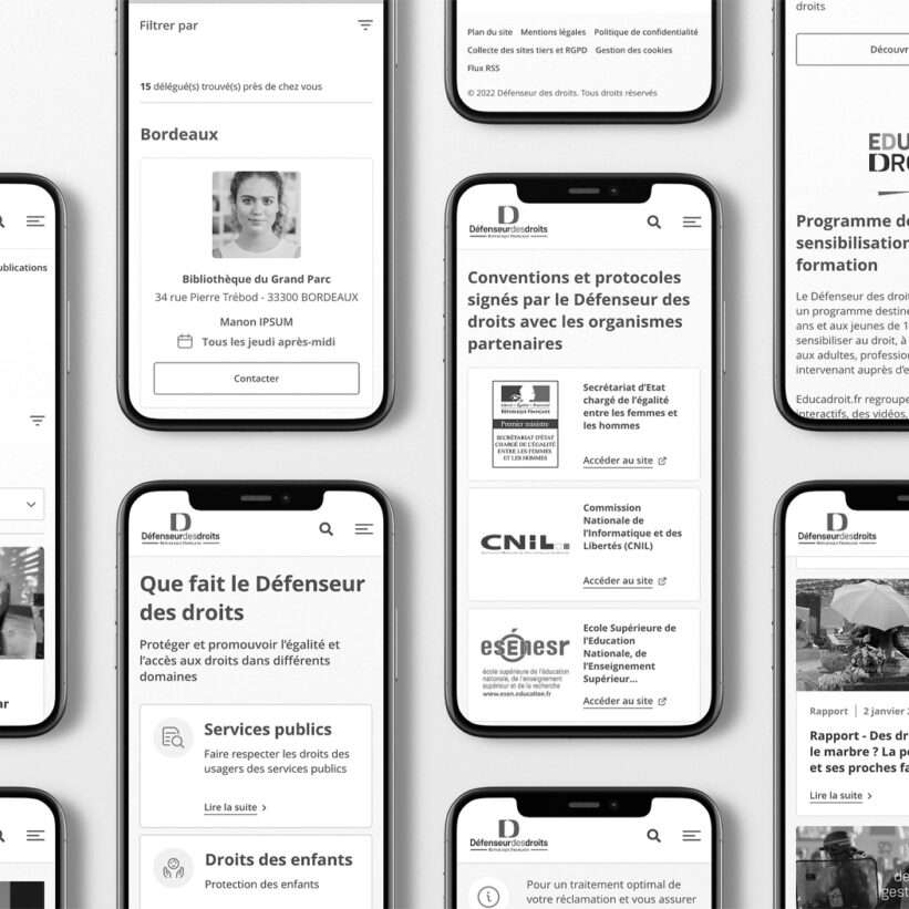 Refonte du portail du Défenseur des droits - Wireframes mobile