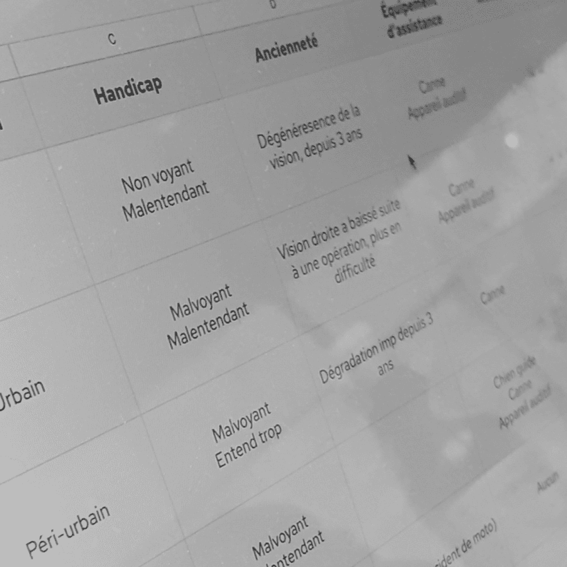 Capture d'écran de certaines données du research repository mis en place dans la cadre de l'étude sur les voyageurs en situation de handicap